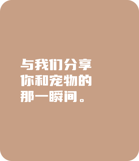 好博体育.com宠物，无处不在